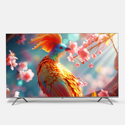 Sansui 55 Inch QLED TV