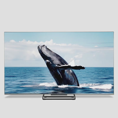 Sansui 190cm (75) Google TV QD-Mini LED (4K), HDR 10+, Dolby Vision, Dolby Atmos with 85W Speaker, Subwoofer & Tweeters (JSW75UGMQF)
