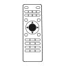 remote Icon